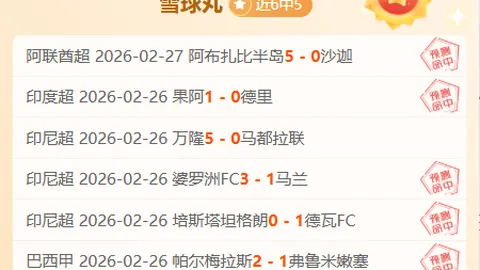大乐透期号专家推荐：德乙近30场分析精选